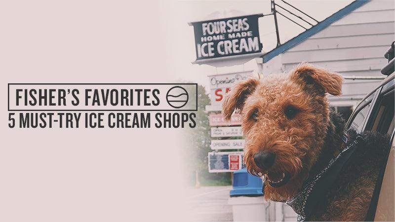 5 MUST-TRY ICE CREAM SHOPS ON CAPE COD - Cape Clasp