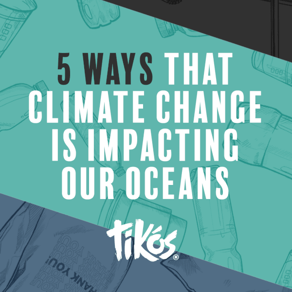 5 Ways Climate Change is Impacting the Ocean - Cape Clasp